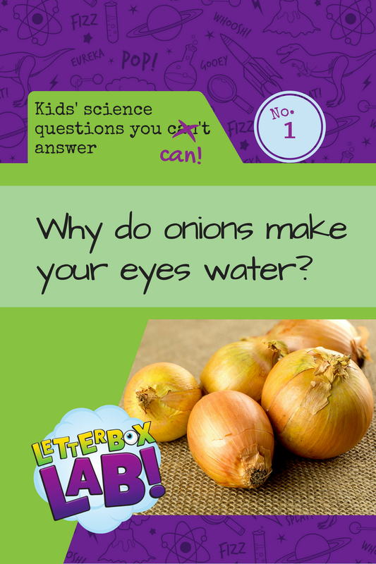 new-questions-to-answer-1-onions_orig.png