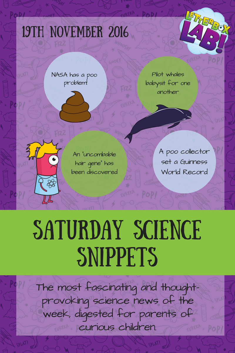 19.11.16-science-snippets-2.png