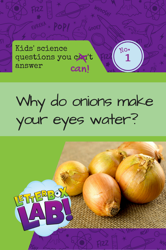 new-questions-to-answer-1-onions_orig-1.png