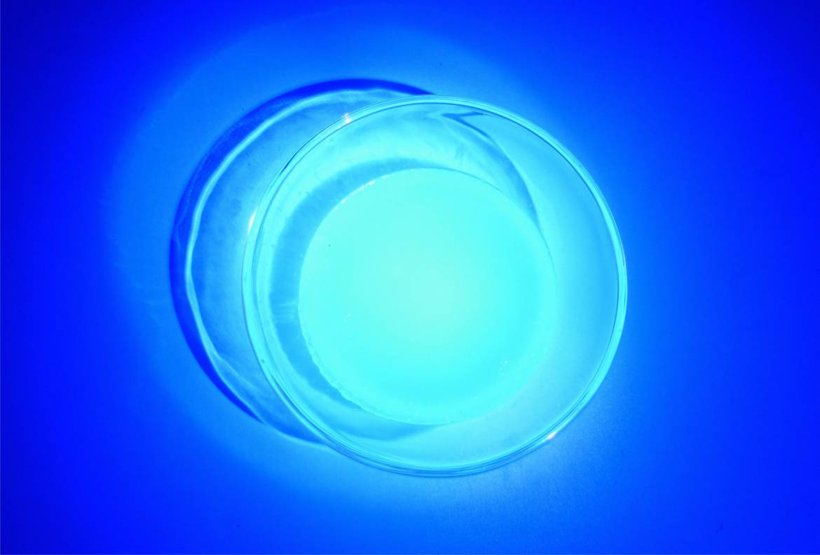 Glowing-jelly-1-min.jpg