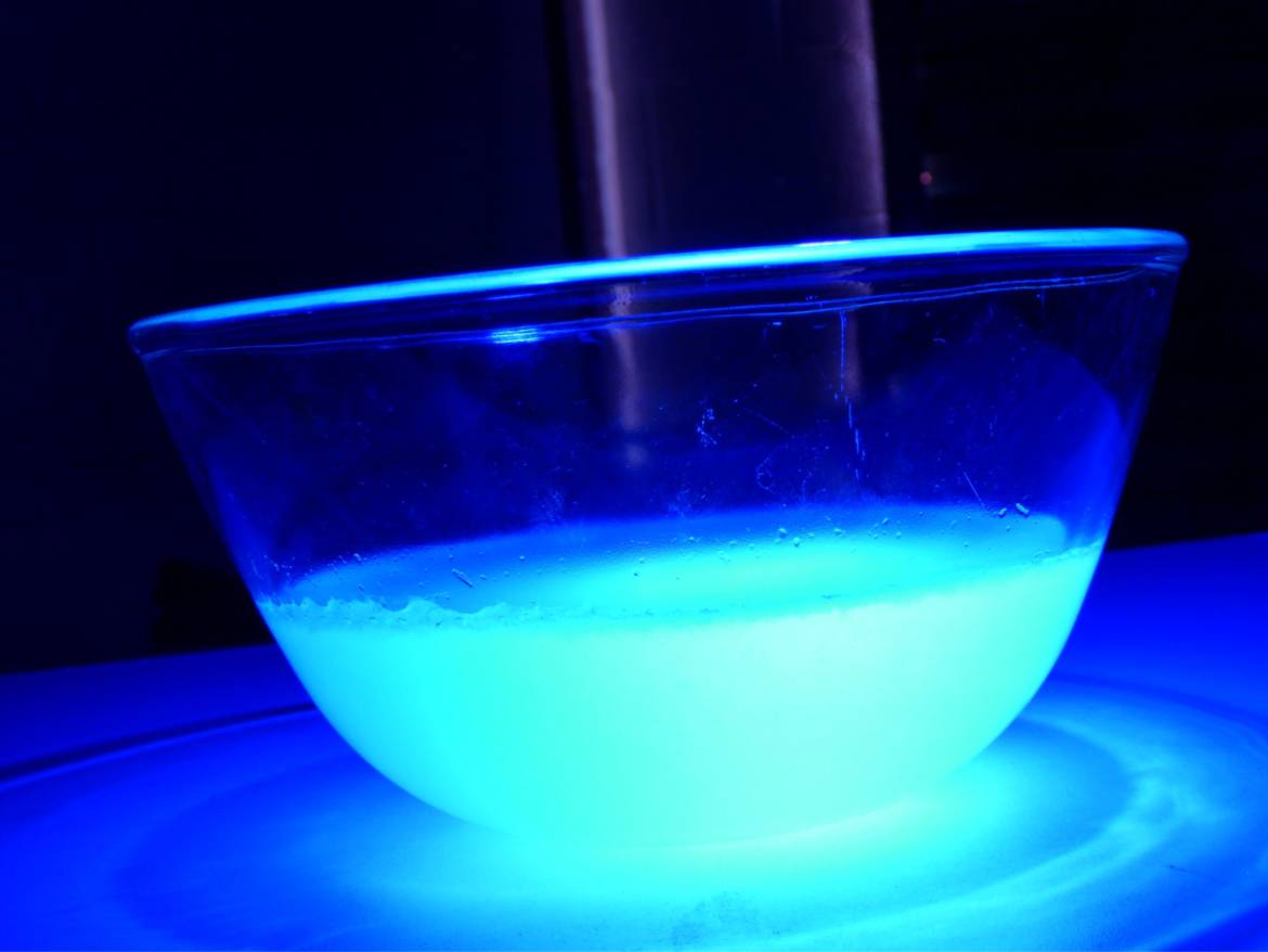 Glowing-jelly-2-min.jpg